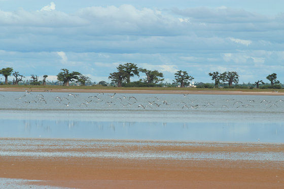 Lodge Du Delta Niominka Dinouar Exterior foto